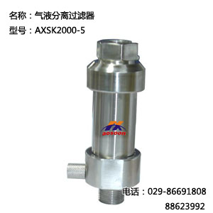 气液分离过滤器AXSK2000-5