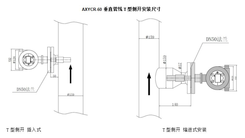 耐磨型密度计 音叉密度计 插入式密度计 AXYCR-60